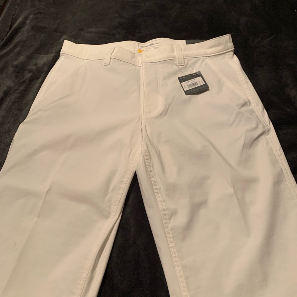 Eddie Bauer Travex pant